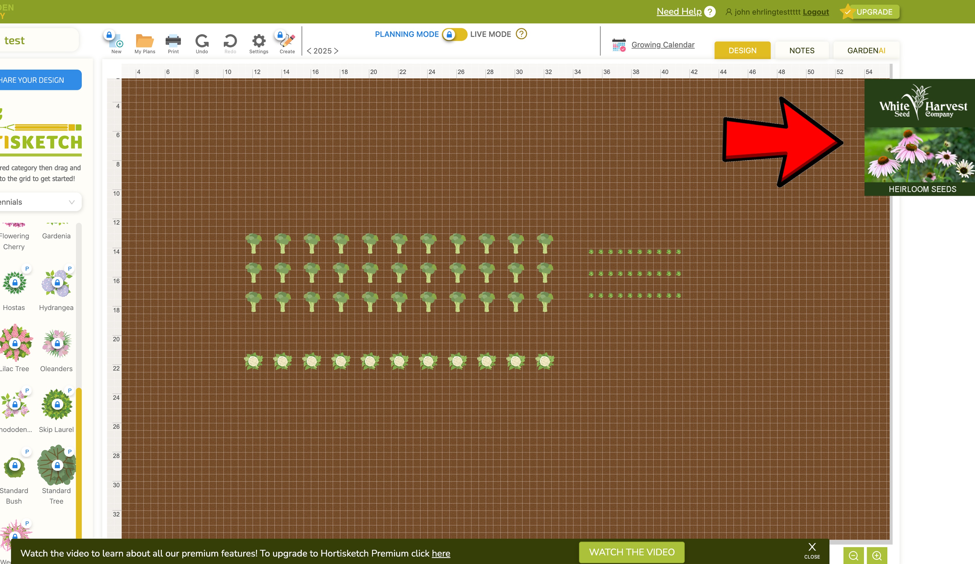 Hortisketch user interface - the field with dills