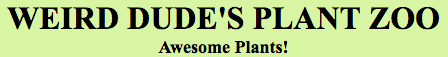 sads